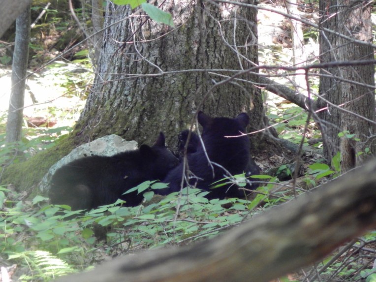 -Allison(hike) 148 (1024x768)