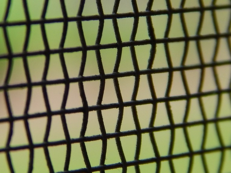 mystery pictures (4) (1024x768)