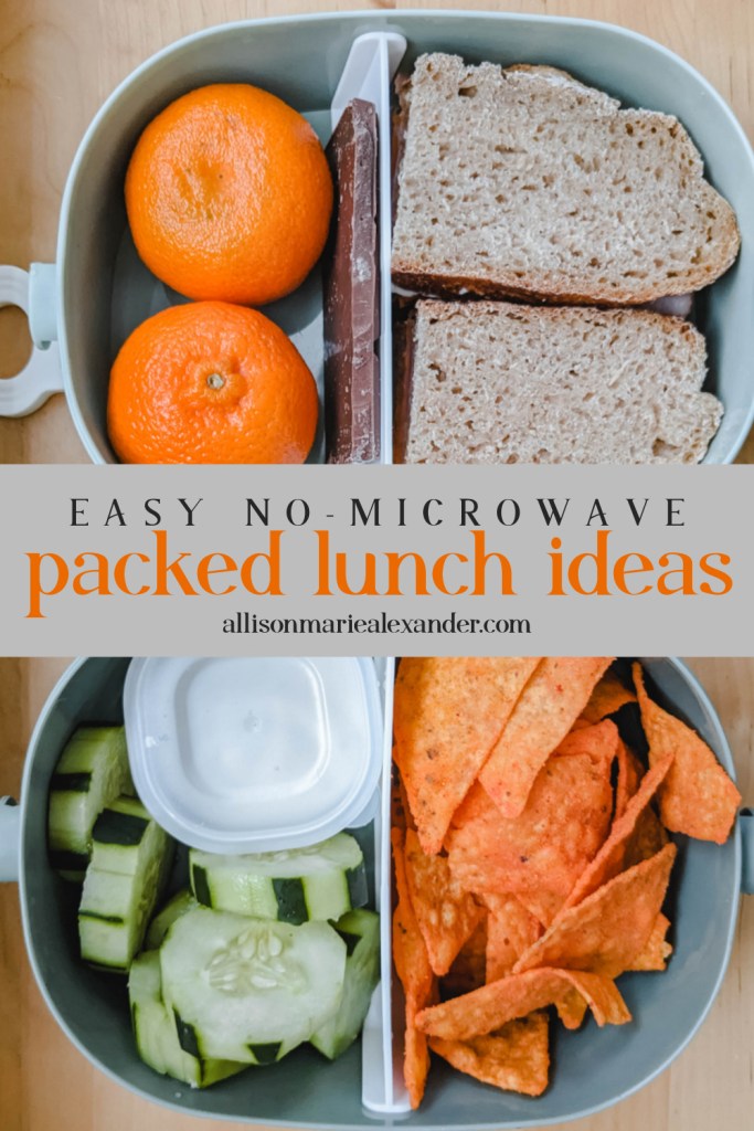 Packed Lunch Ideas {Affordable, Easy, No Microwaving!} Allison Marie
